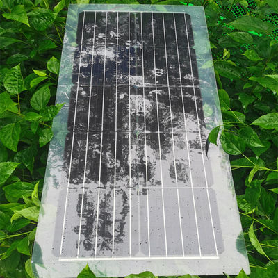 Καλή τιμή. 30W 40W 50W 60W 80W Ηλιακό πάνελ PET ημιδιαφανές ηλιακό πάνελ 1000V σε απευθείας σύνδεση